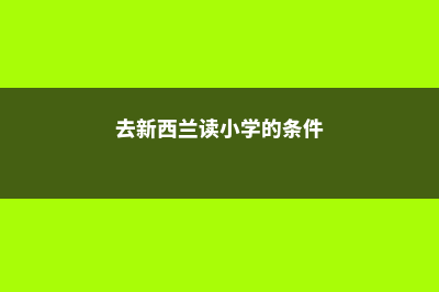 去新西兰读小学有哪些优势(去新西兰读小学的条件)