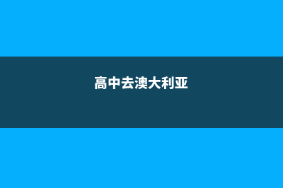 多特蒙德国际管理学院实践教学(多特蒙德国际管理学院排名)