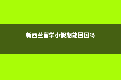 新西兰留学之小学解析(新西兰留学小假期能回国吗)