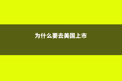 为什么要去美国留学(为什么要去美国上市)