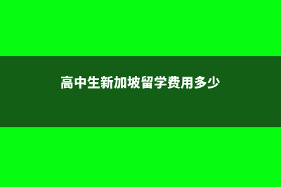 高中生新加坡留学费用(高中生新加坡留学费用多少)