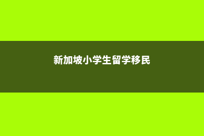 新加坡小学生留学费用(新加坡小学生留学移民)