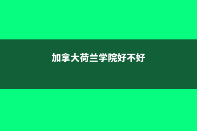 初三留学美国学费(美国初三学什么)