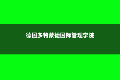 德国多特蒙德国际管理学院课程讲解(德国多特蒙德国际管理学院)