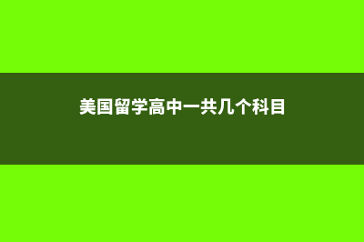 美国留学高中一年费用(美国留学高中一共几个科目)