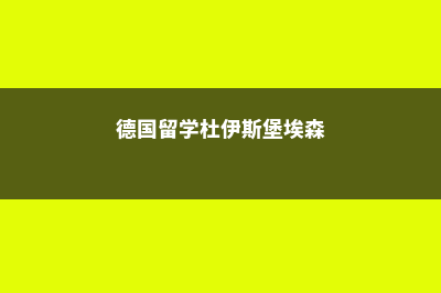 德国杜伊斯堡艾森大学(德国留学杜伊斯堡埃森)