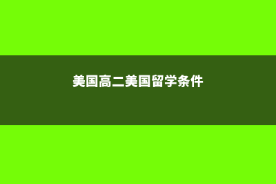 高二美国留学的条件(美国高二美国留学条件)