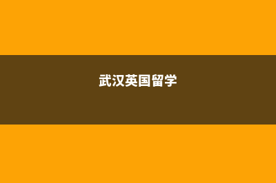 湖北英国本科留学有哪些学校(武汉英国留学)