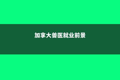 英国预科本科留学各阶段费用详解(英国本科 预科)