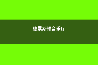 德国德累斯顿音乐学院学校生活介绍(德累斯顿音乐厅)