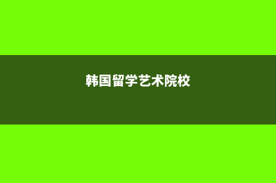 韩国留学艺术留学有哪些专业(韩国留学艺术院校)