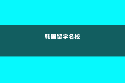 韩国留学的四大群体(韩国留学名校)