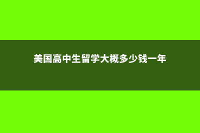 美国高中生留学体检检查哪些？(美国高中生留学大概多少钱一年)