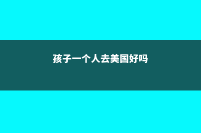 孩子一个人去美国读高中安全吗(孩子一个人去美国好吗)