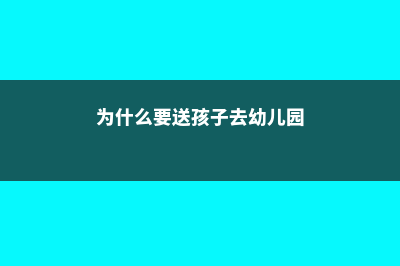 澳洲中学留学步骤是什么(澳洲中学留学条件)