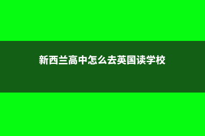 新西兰高中怎么样(新西兰高中怎么去英国读学校)