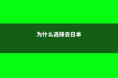 为何选择去日本读高中(为什么选择去日本)