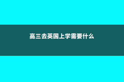 新西兰小学微留学(新西兰小学微留学 申请)