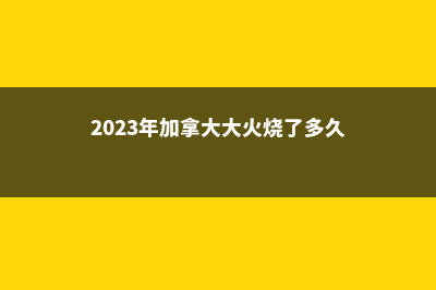 2023年加拿大大学排名了解一下(2023年加拿大大火烧了多久)