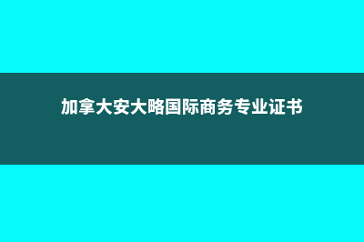 加拿大安大略国际高中(加拿大安大略国际商务专业证书)