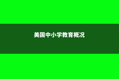 美国中小学教育特点(美国中小学教育概况)