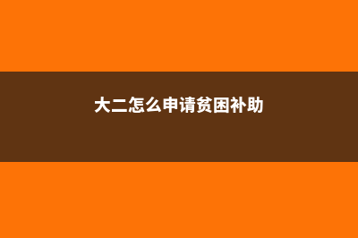 大二如何申请去美国留学(大二怎么申请贫困补助)