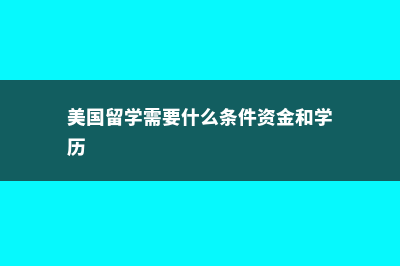 美国本科留学会计专业条件(美国本科留学会加分吗)