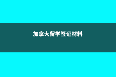 荷兰本科留学之路怎么规划(荷兰本科留学一年费用人民币)