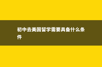 初中去美国留学费用(初中去美国留学需要具备什么条件)