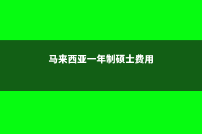 马来西亚一年制硕士认可吗(马来西亚一年制硕士费用)