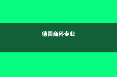 德国商业与信息技术大学专业预览(德国商科专业)