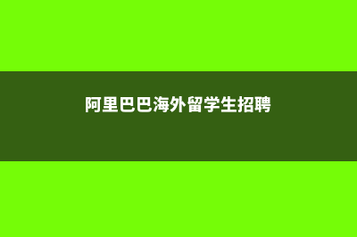 阿里意大利留学(阿里巴巴海外留学生招聘)