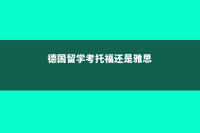 新西兰留学预科是怎么样的存在(新西兰留学预科项目)