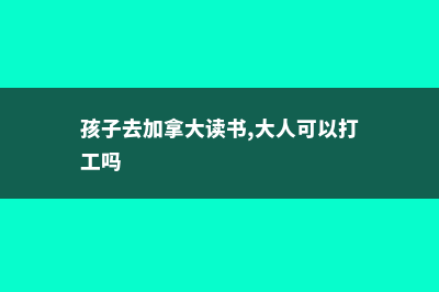 低龄去加拿大读书的注意事项有哪些(孩子去加拿大读书,大人可以打工吗)