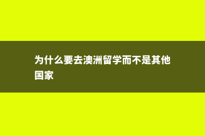 德国马格德堡大学专业介绍(德国马格德堡大学什么档次)