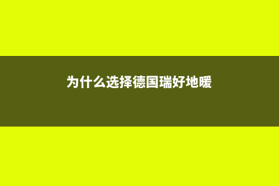 为什么选择德国留学(为什么选择德国瑞好地暖)