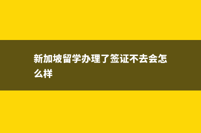 美国起薪最高的八个专业(美国起薪最高的城市)