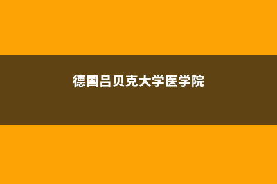 德国吕贝克大学院校情况介绍(德国吕贝克大学医学院)