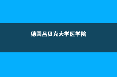 德国吕贝克大学申请日期分析(德国吕贝克大学医学院)