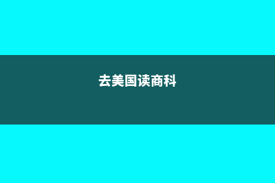 在新西兰的生活交通(新西兰的生活成本)