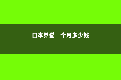 想在日本养猫咪的同学看过来了哈(日本养猫一个月多少钱)