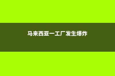 马来西亚第一工艺学院预科雅思(马来西亚一工厂发生爆炸)