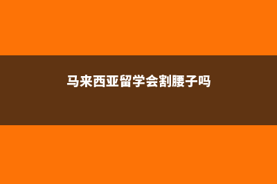 马来西亚留学会后悔么(马来西亚留学会割腰子吗)