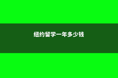 纽约一年留学费用(纽约留学一年多少钱)