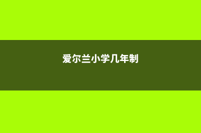 爱尔兰小学留学条件和费用(爱尔兰小学几年制)