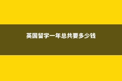 英国留学一年总费用(英国留学一年总共要多少钱)