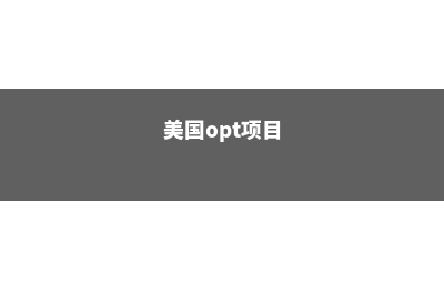 美国OPT是什么意思(美国opt项目)