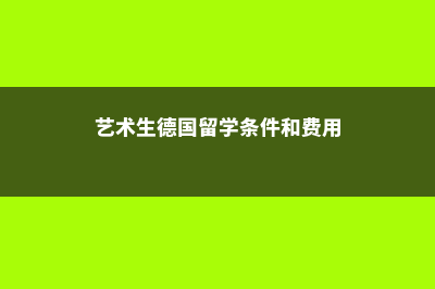 艺术生德国留学aps材料(艺术生德国留学条件和费用)