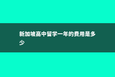 新加坡高中留学费用多少(新加坡高中留学一年的费用是多少)