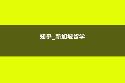 留学新加坡读会计硕士费用(知乎 新加坡留学)